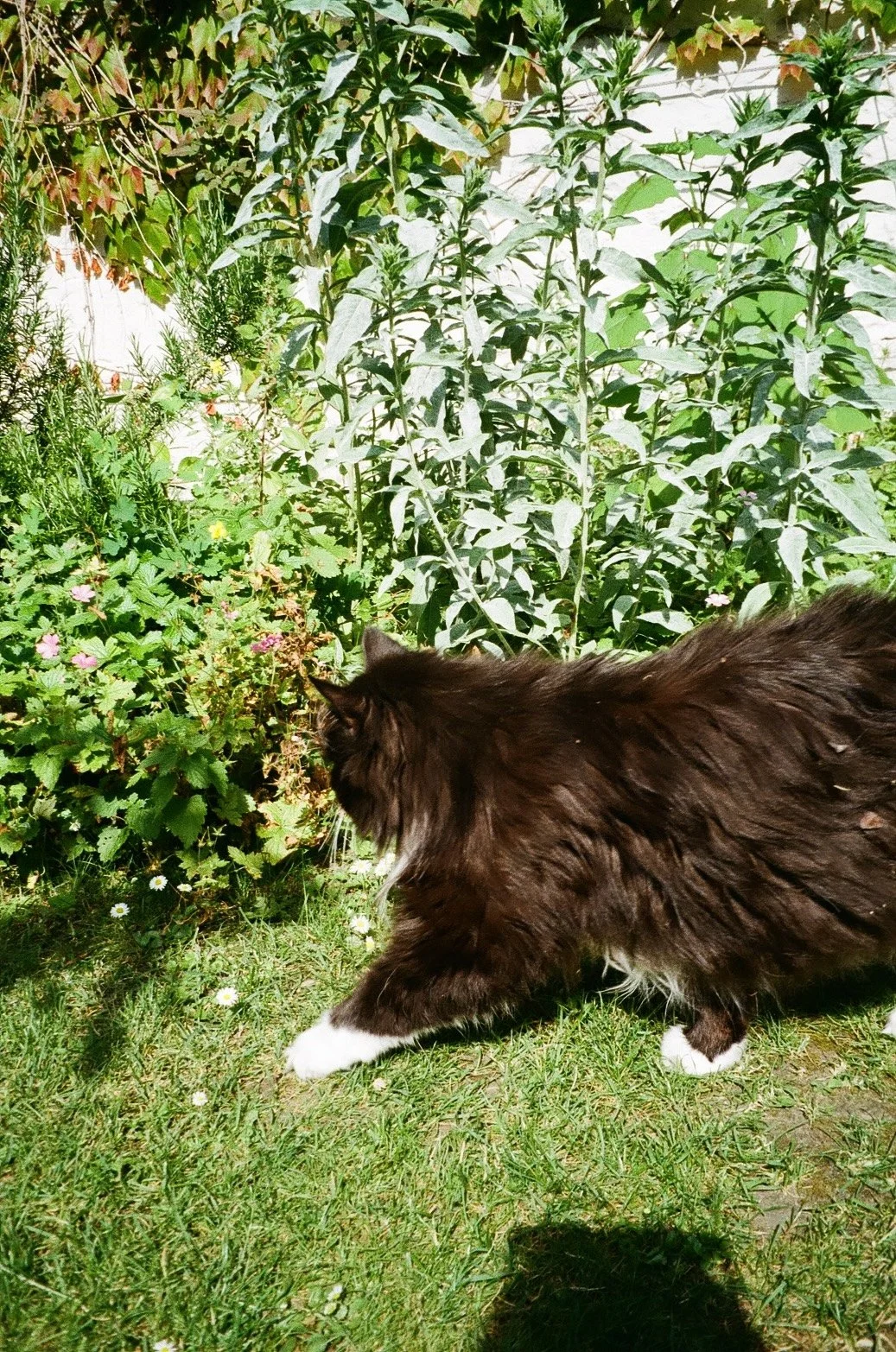 2_000231810006 copy.jpg