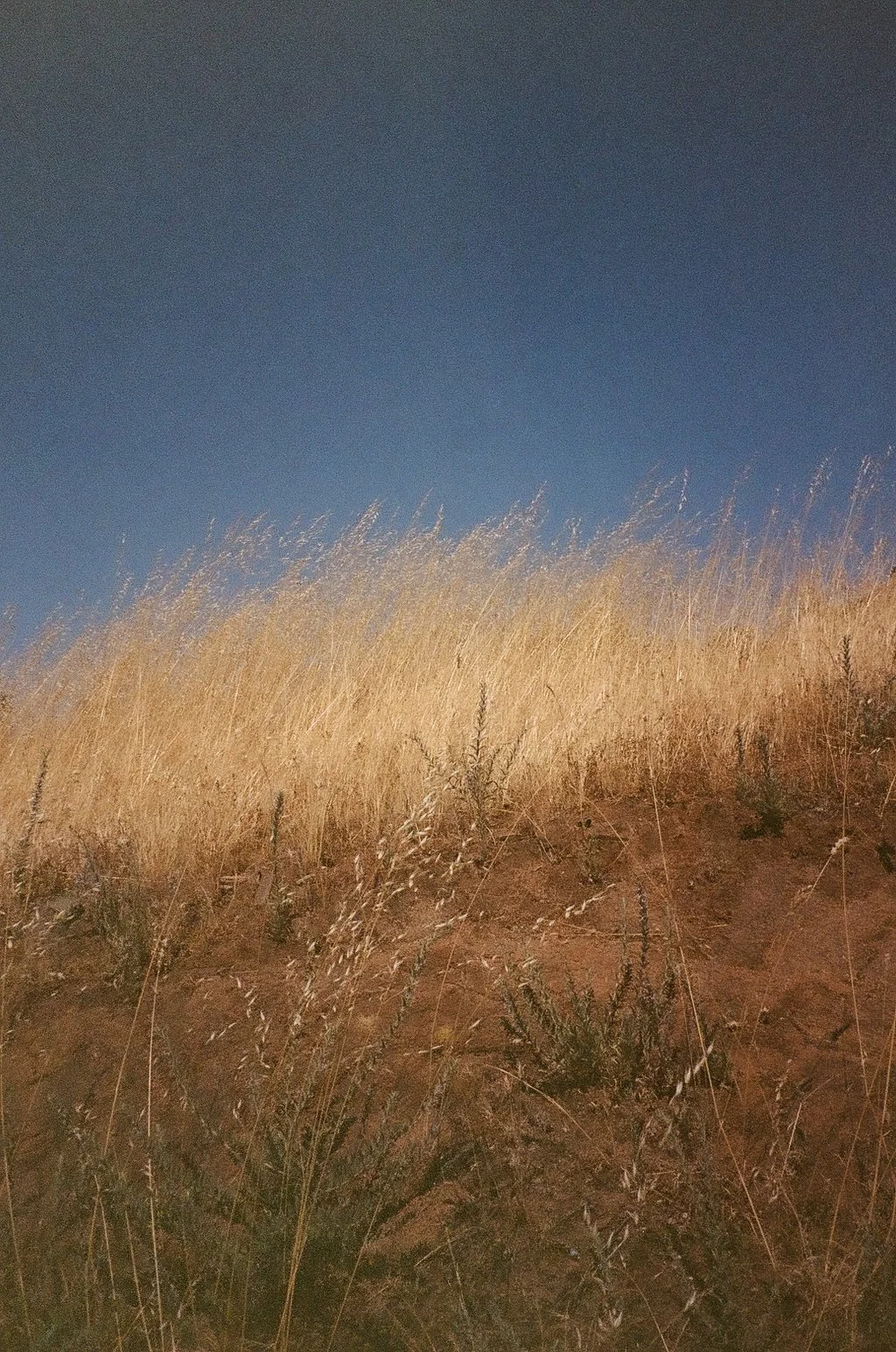 000214200014 copy.jpg