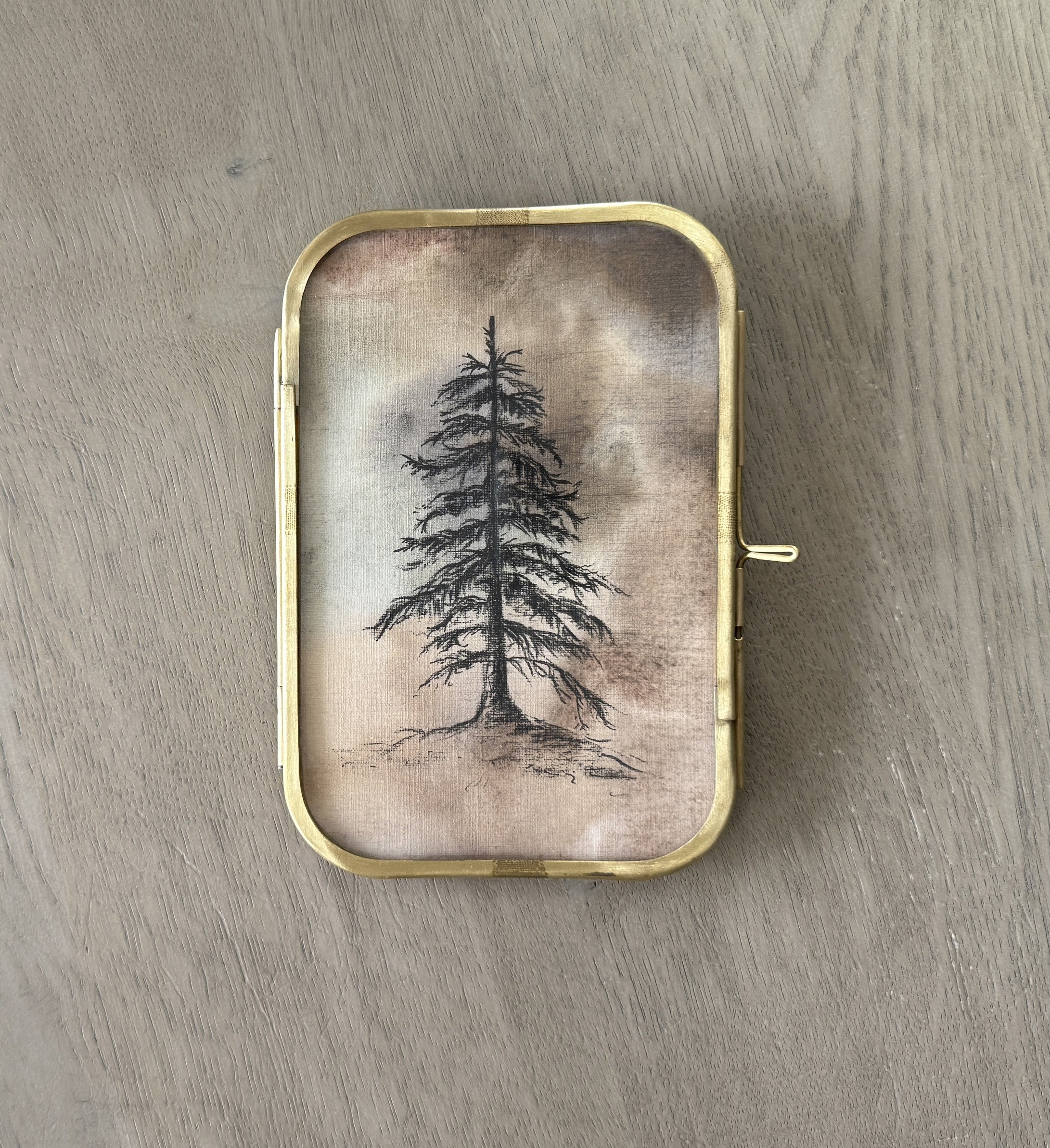 Winter Evergreen Series - 1