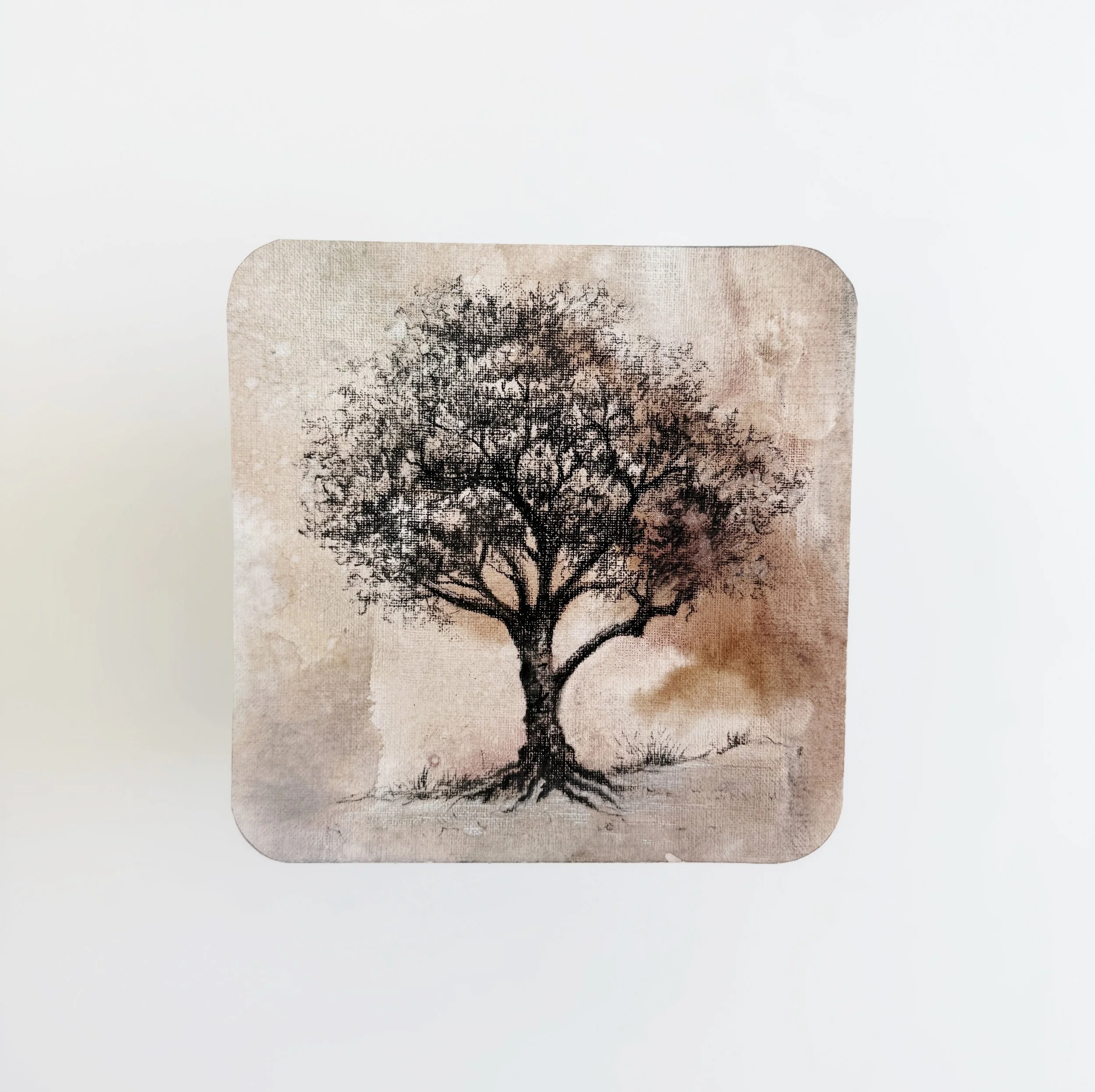 IMG_9248_SnapseedCopy_SnapseedCopy 2.jpg