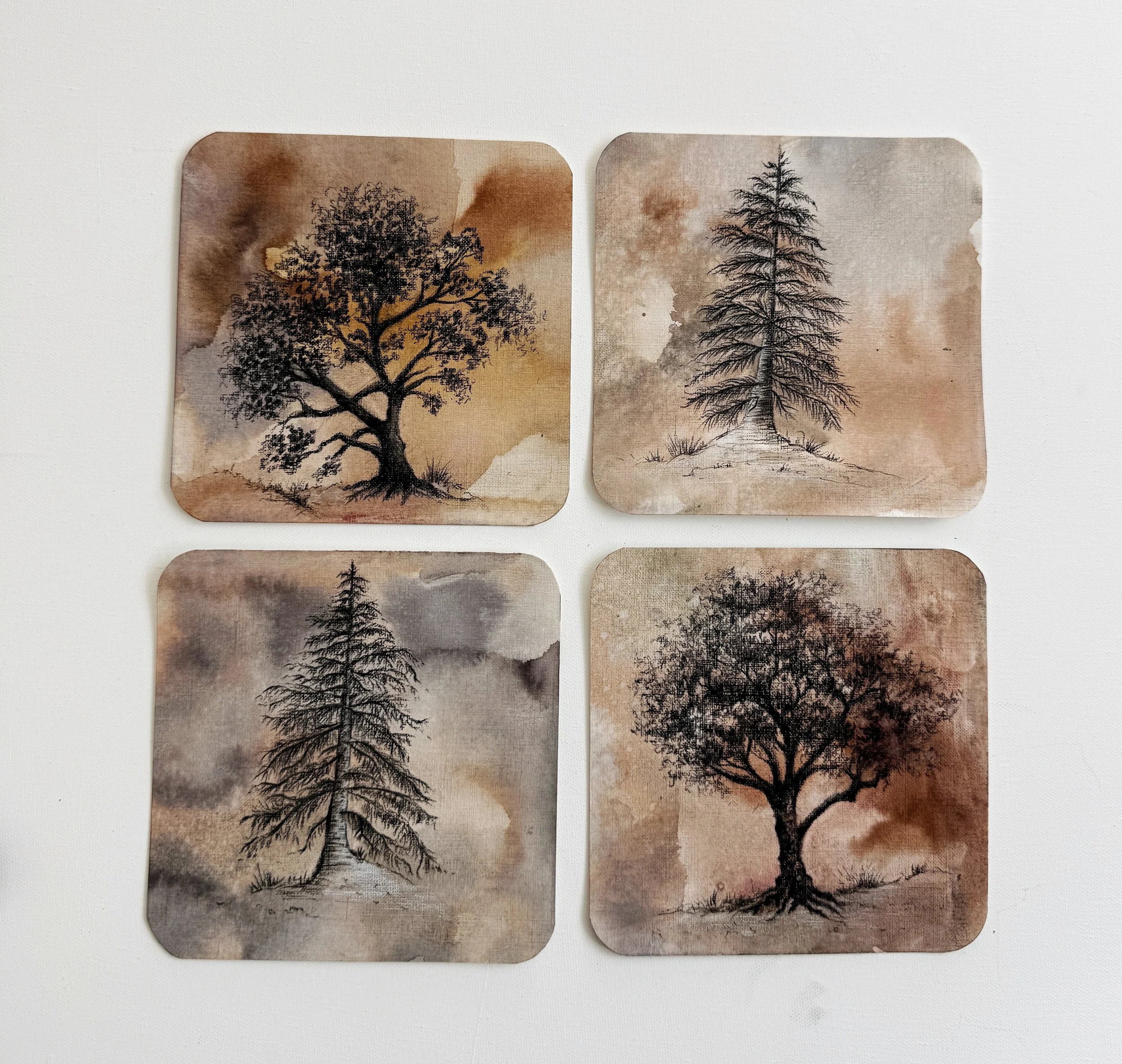 IMG_9144_SnapseedCopy.jpg (Copy)