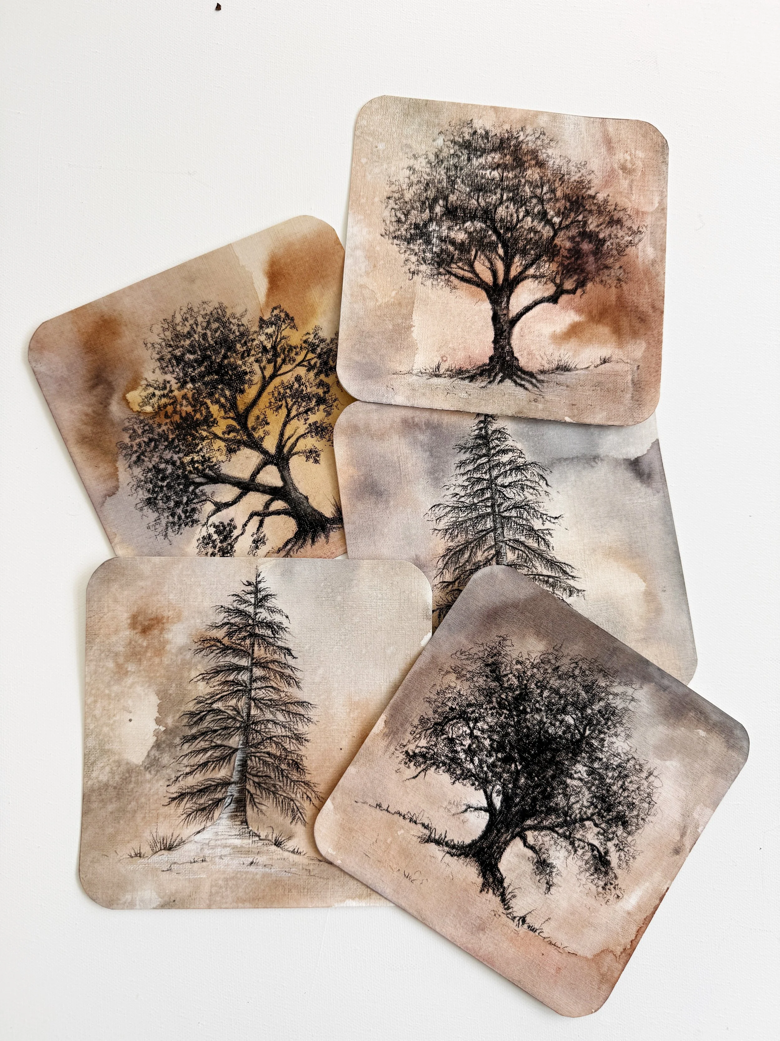 IMG_9143_SnapseedCopy.jpg (Copy)