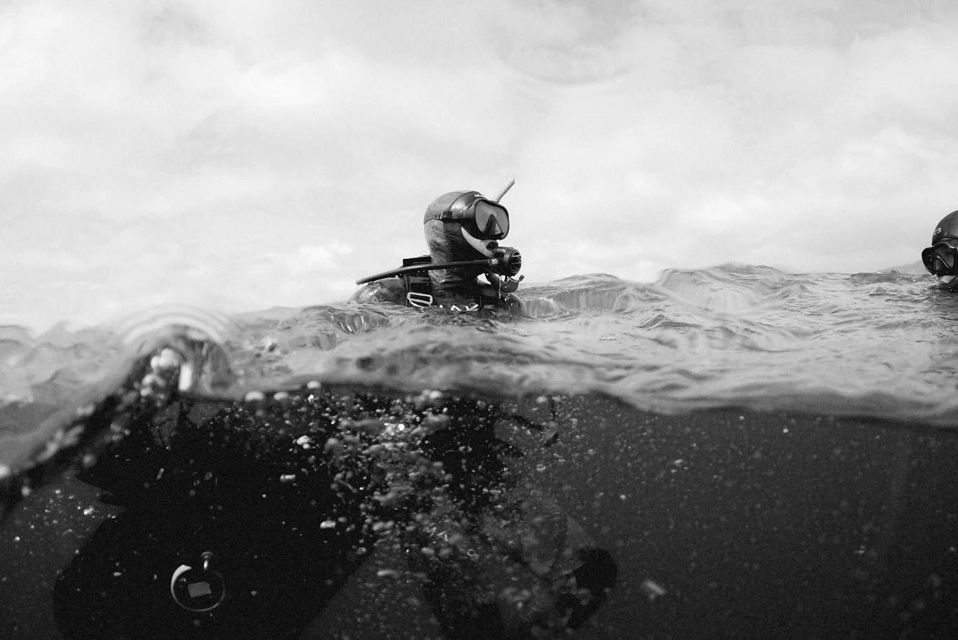  Underwater Cinematographer Don King 