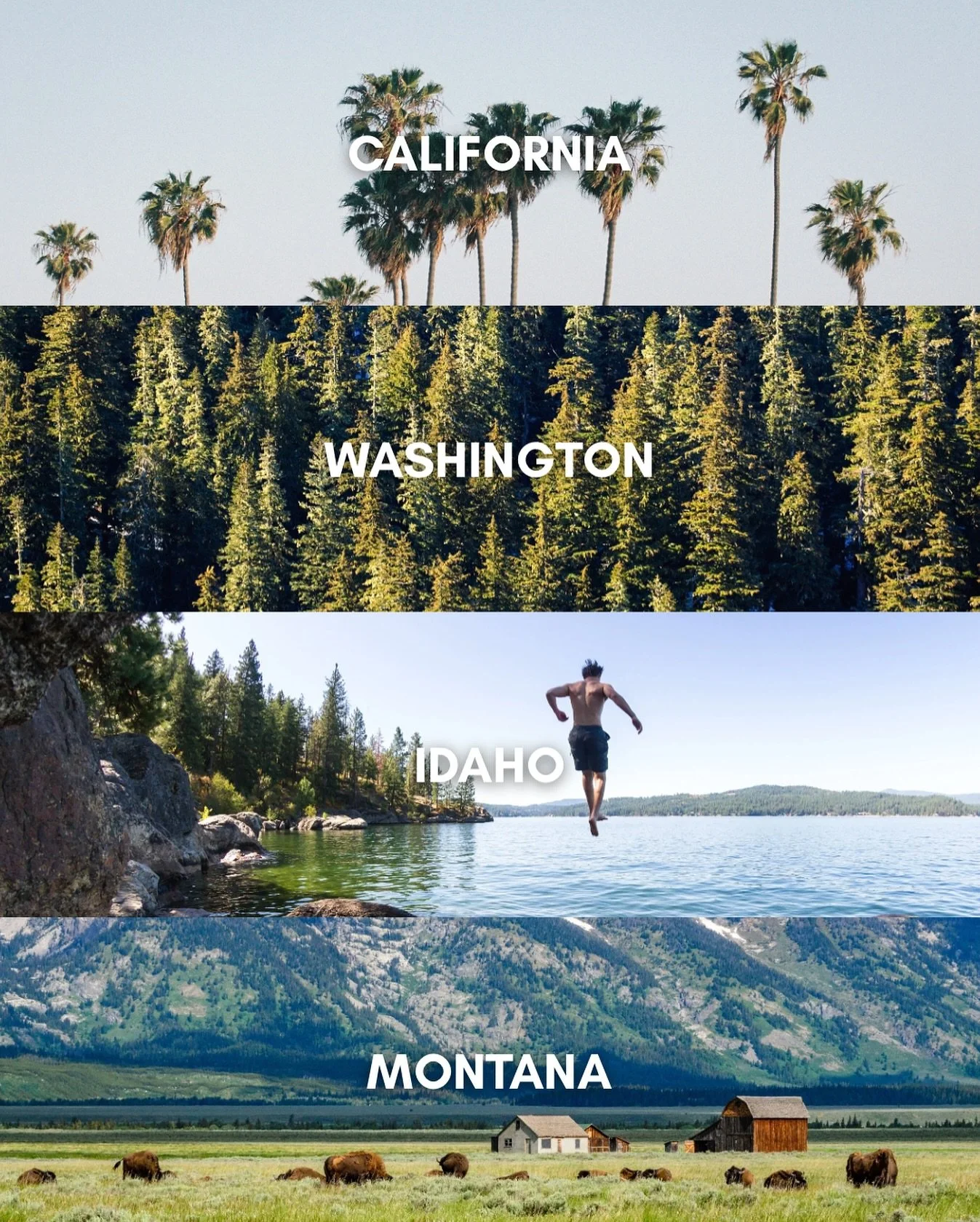 Do YOU or does someone you know located in California, Washington, Idaho, or Montana need marketing help?? 

Whether it&rsquo;s with a quick website refresh, a full re-brand, or consistent social media management, we&rsquo;re here for ya!

Our HQ is 