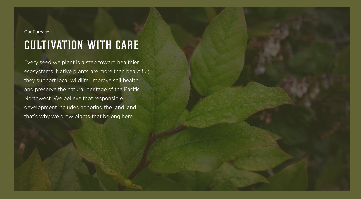 A Fresh Digital Start for Genesis Greens