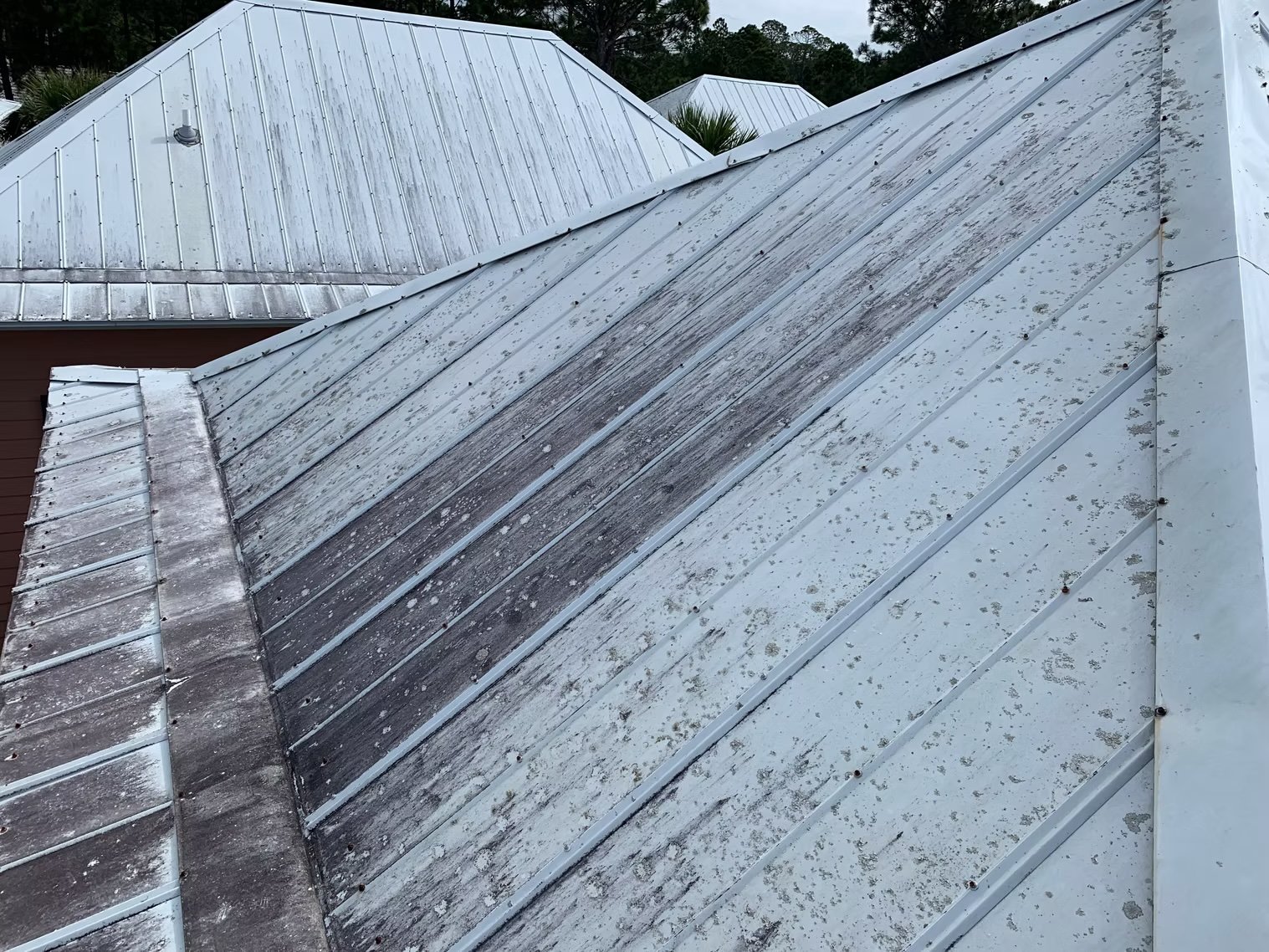In need of a professional roof cleaning by Northern Pros
