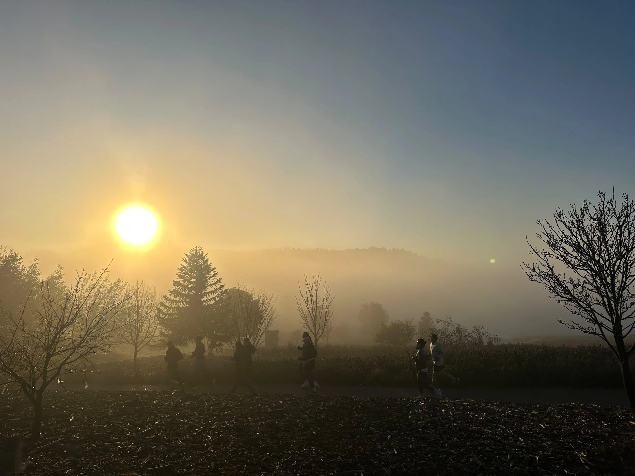 Trails for Resilience