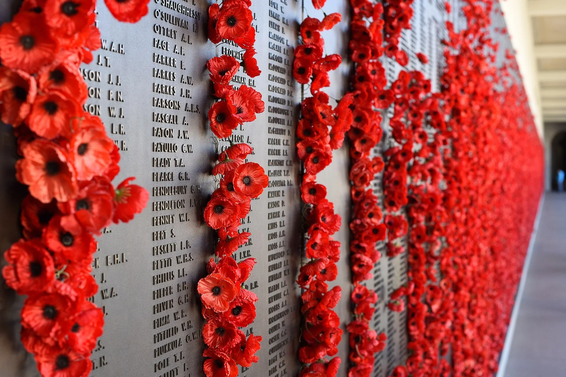 Remembrance Day Run