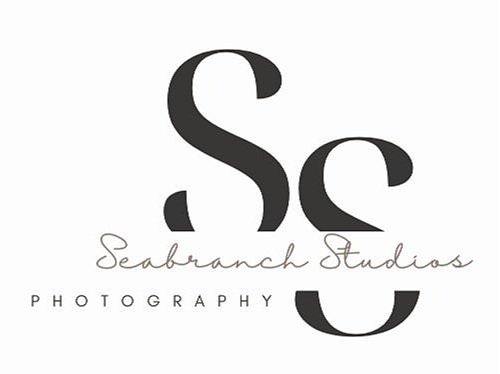 Seabranch Studios