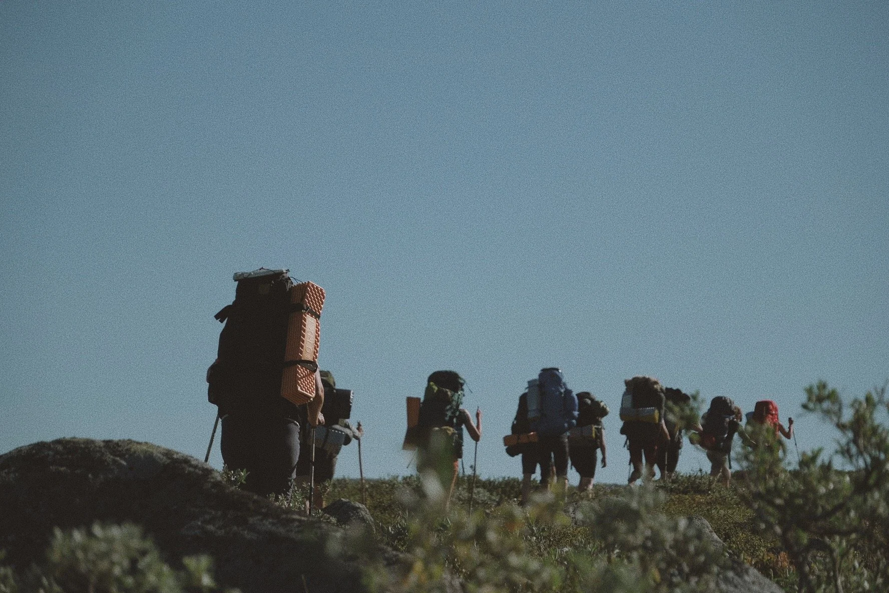 3F0BFB28-2B9A-4930-82C6-C60DDF54896E 2.JPG