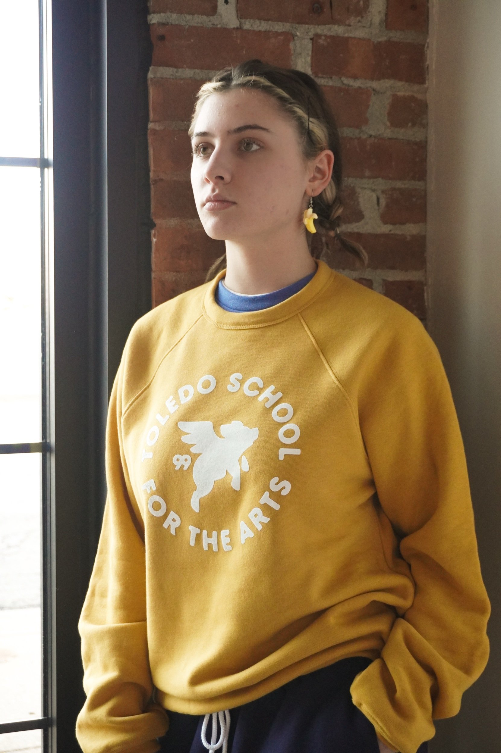 Flying Pig Sweatshirt