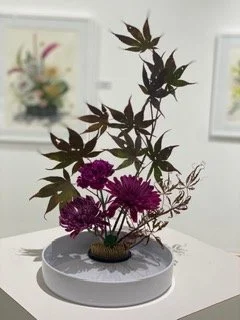 IMG_7078.jpeg