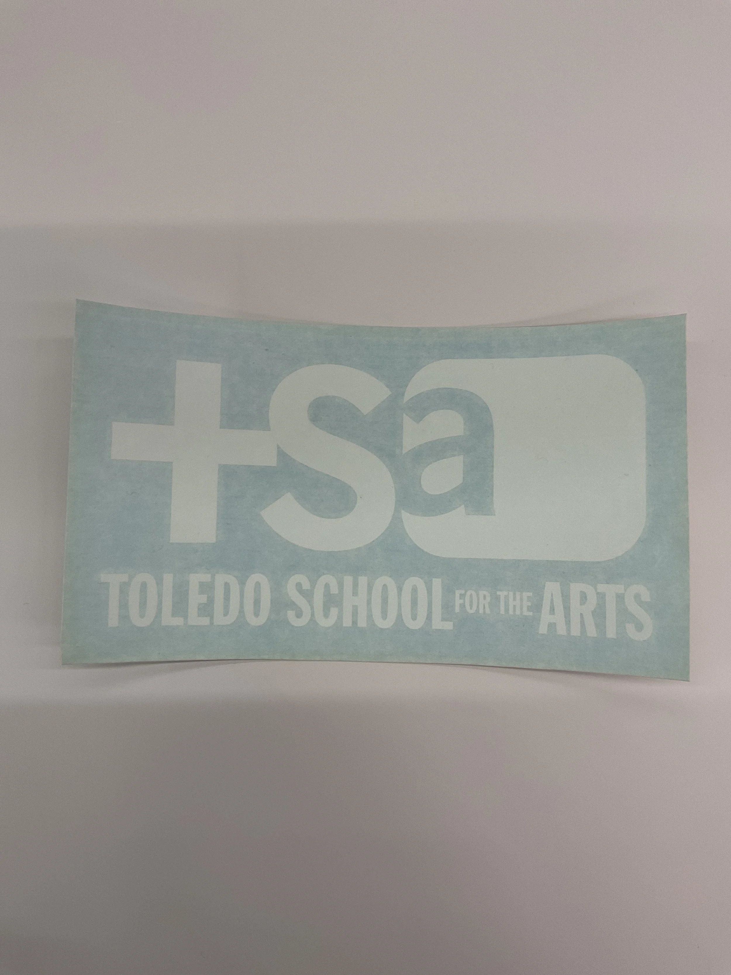 TSA Vinyl Decal