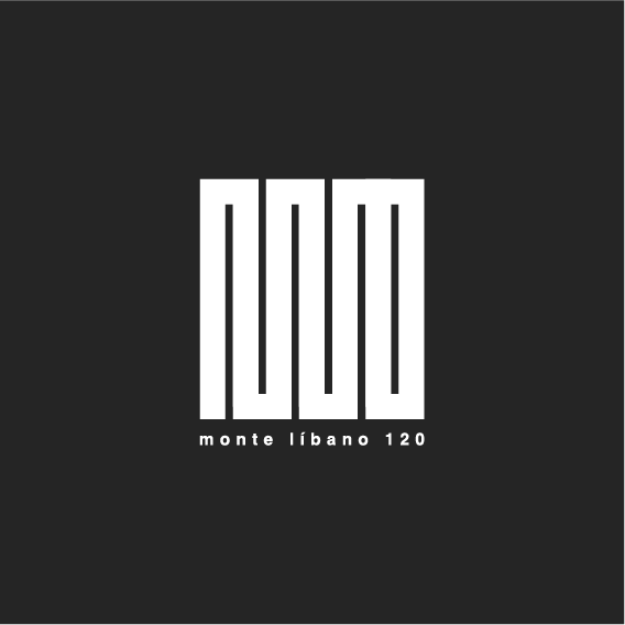 Artboard 1 copy 106.png