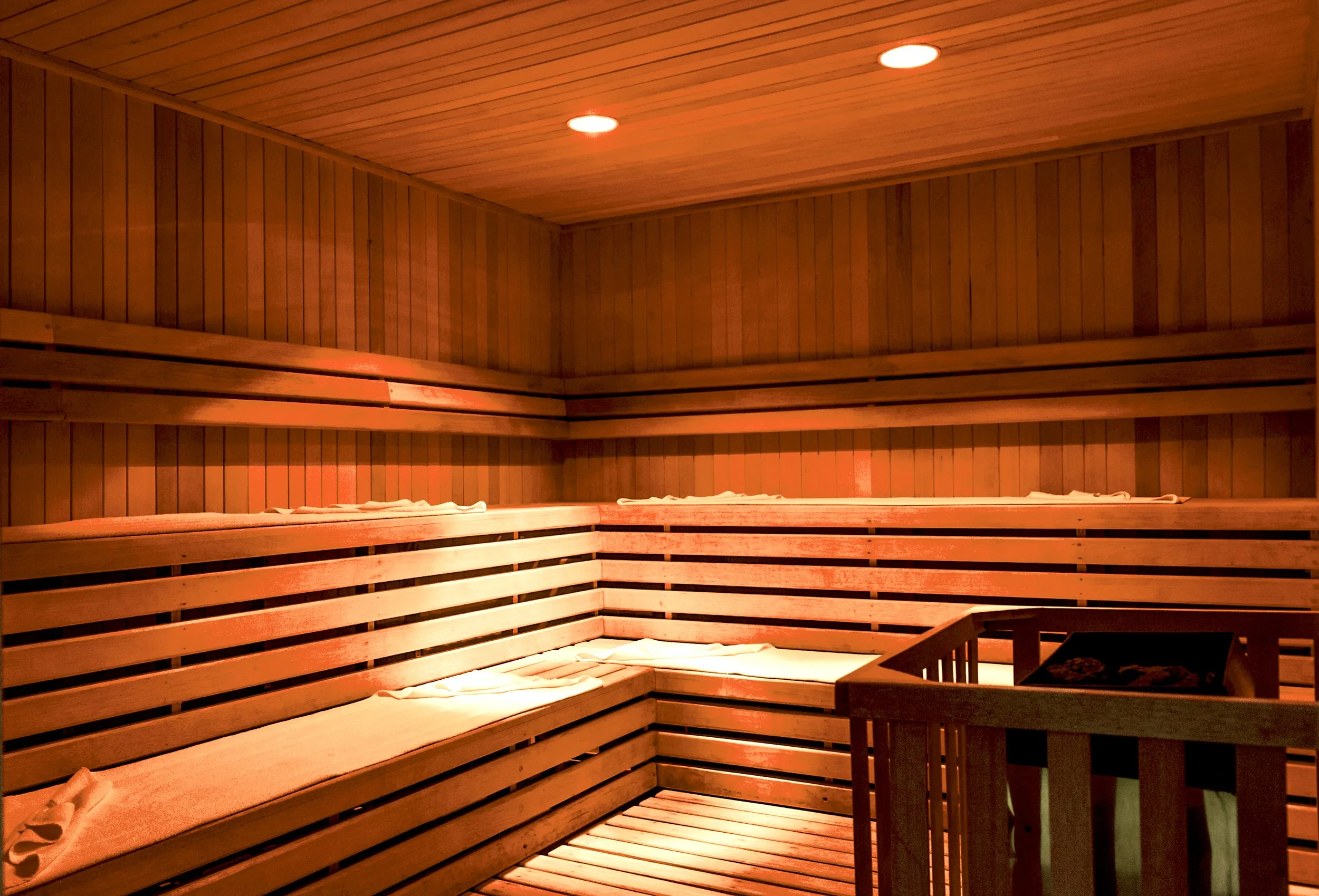 sp_Sauna.jpg