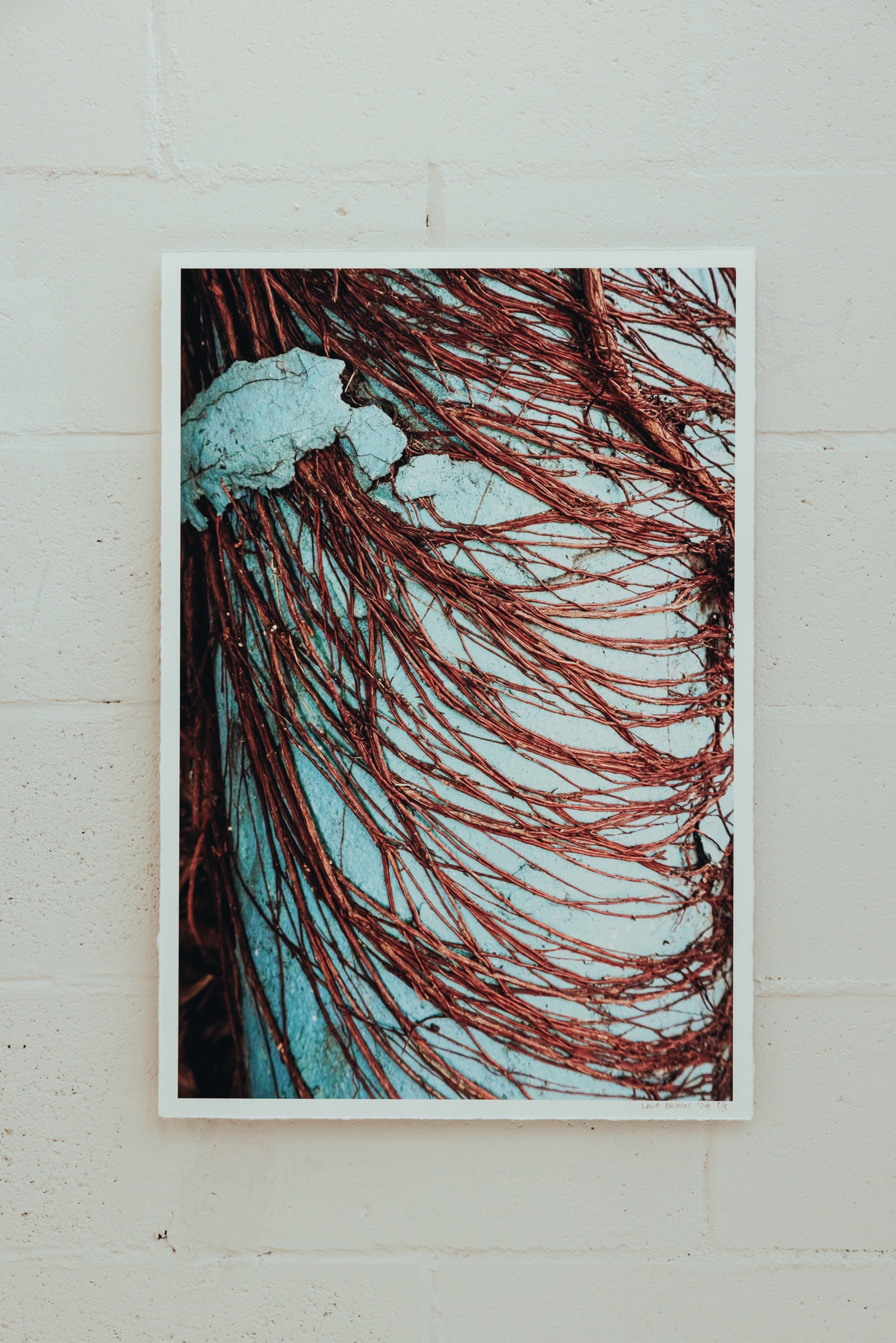 HYPER_TEXTURAL_LAVA_BRAIN_HIGHRES_DUNCOGRAPHIC-17.jpg
