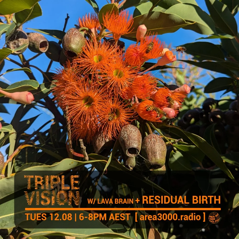 ‘Triple Vision’ 12.08.25 feat. Residual Birth