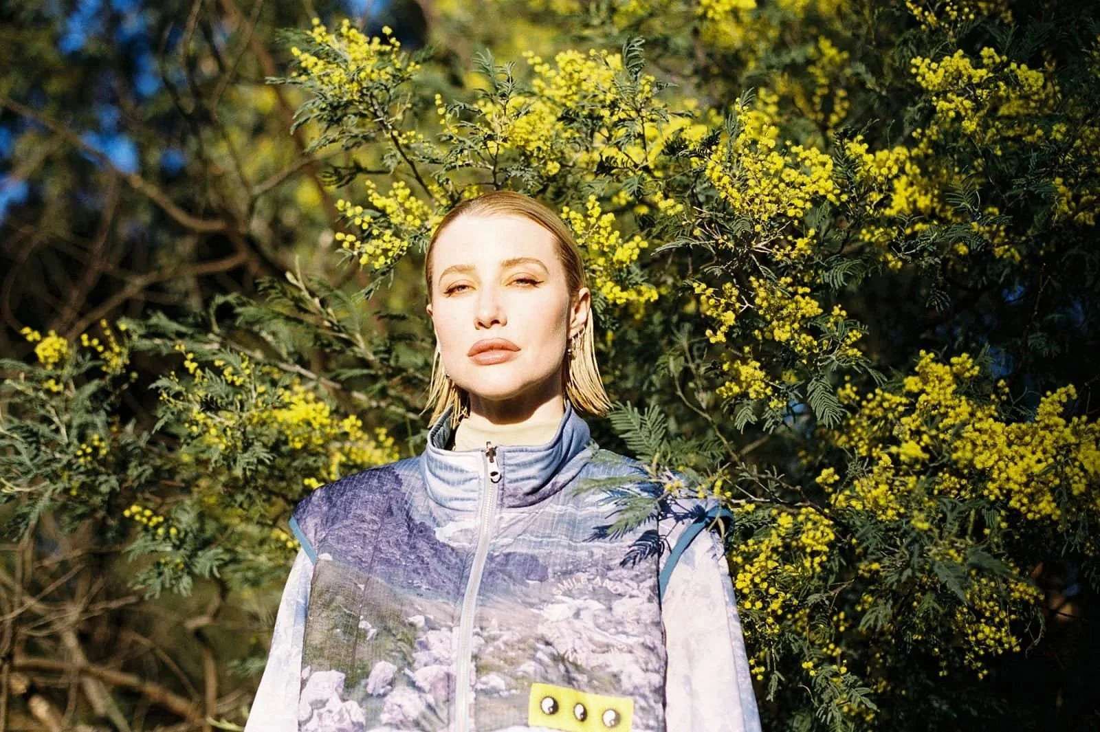 Press shot- Rromarin