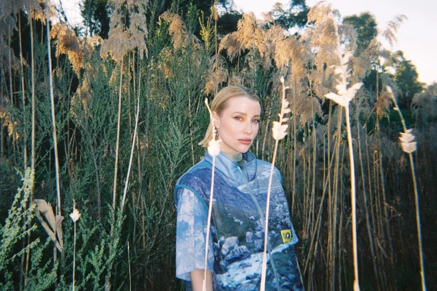 Press shot- Rromarin