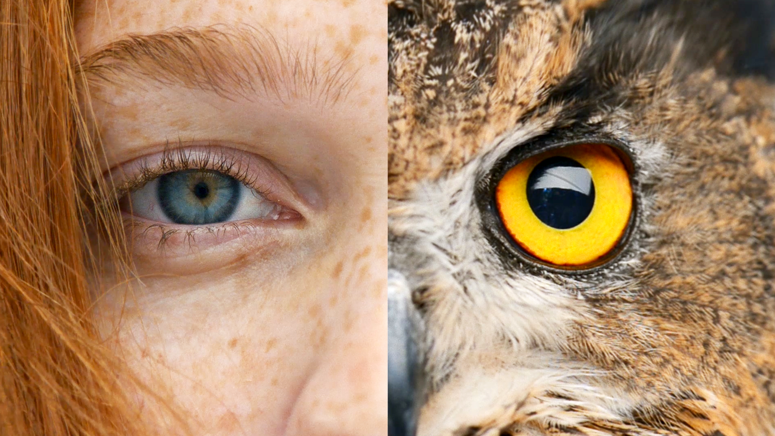 Chipotle Human Nature