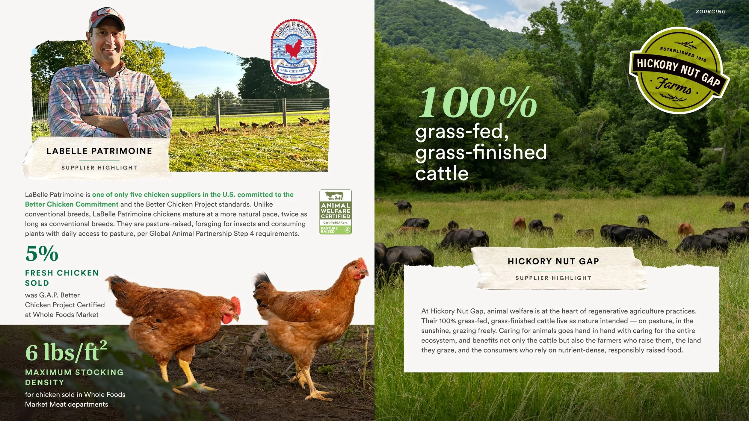 22 Animal Welfare Cont..jpg