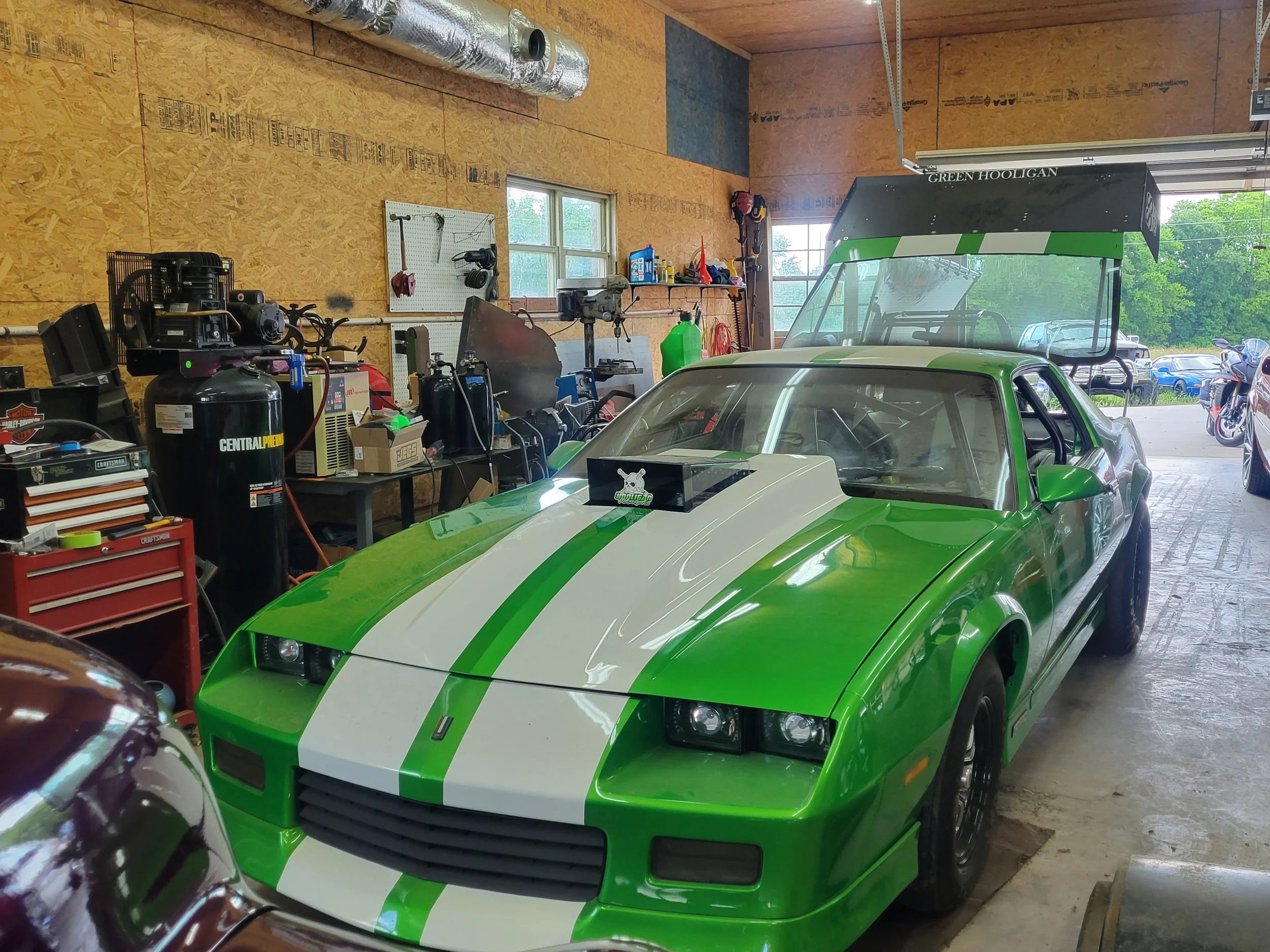 Green Hooligan