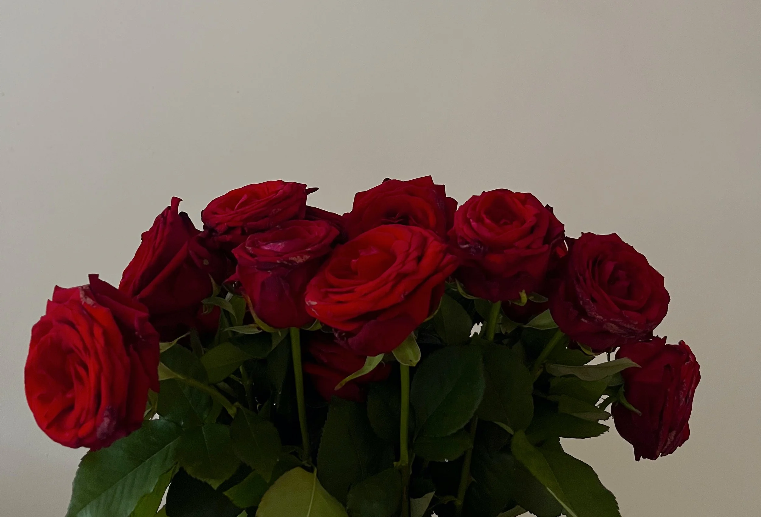 emilie-faraut-dupe (2).jpeg