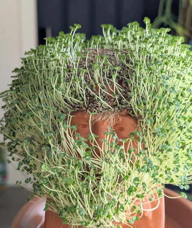 Chia Pet Pottery Class
