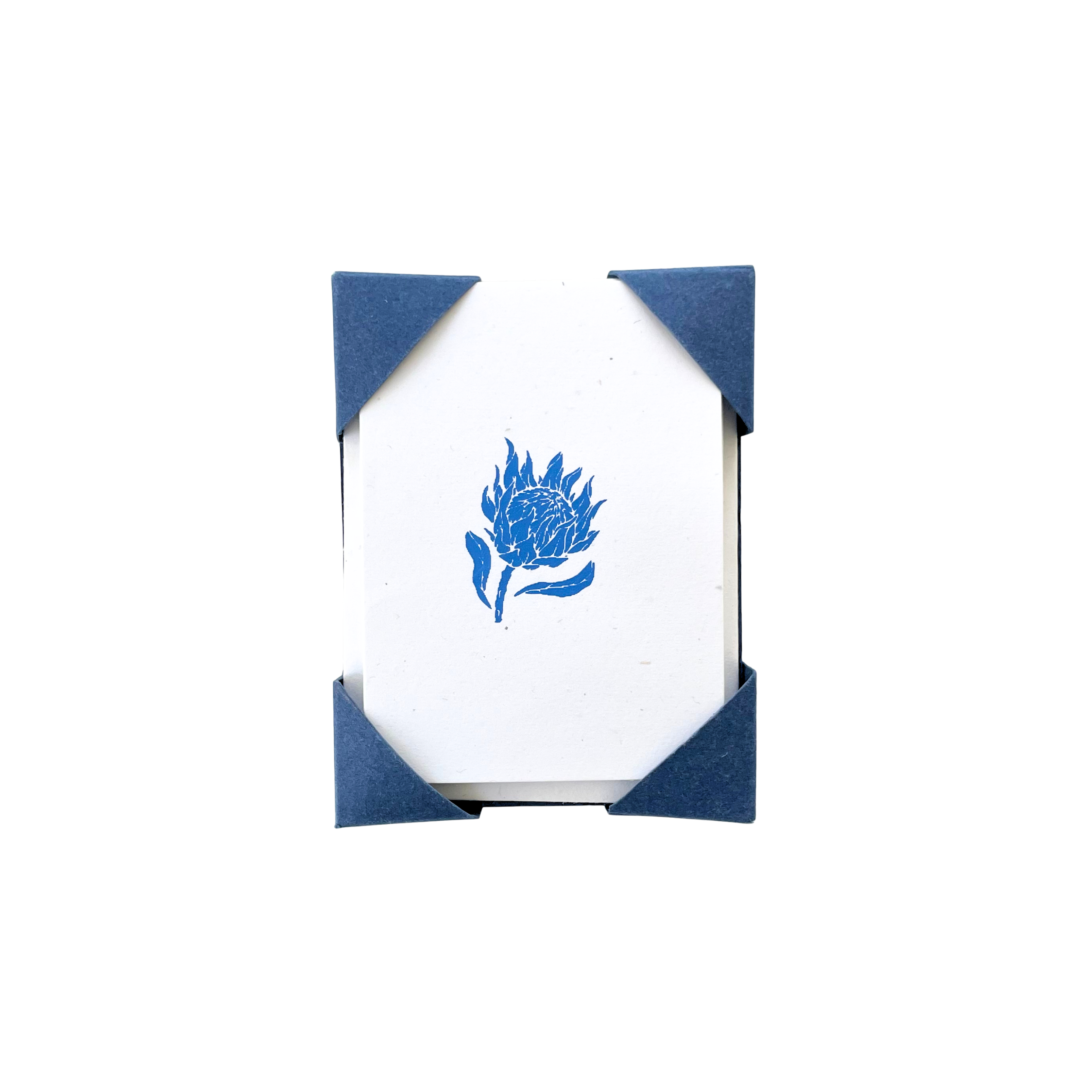 Mini Protea - Set.png