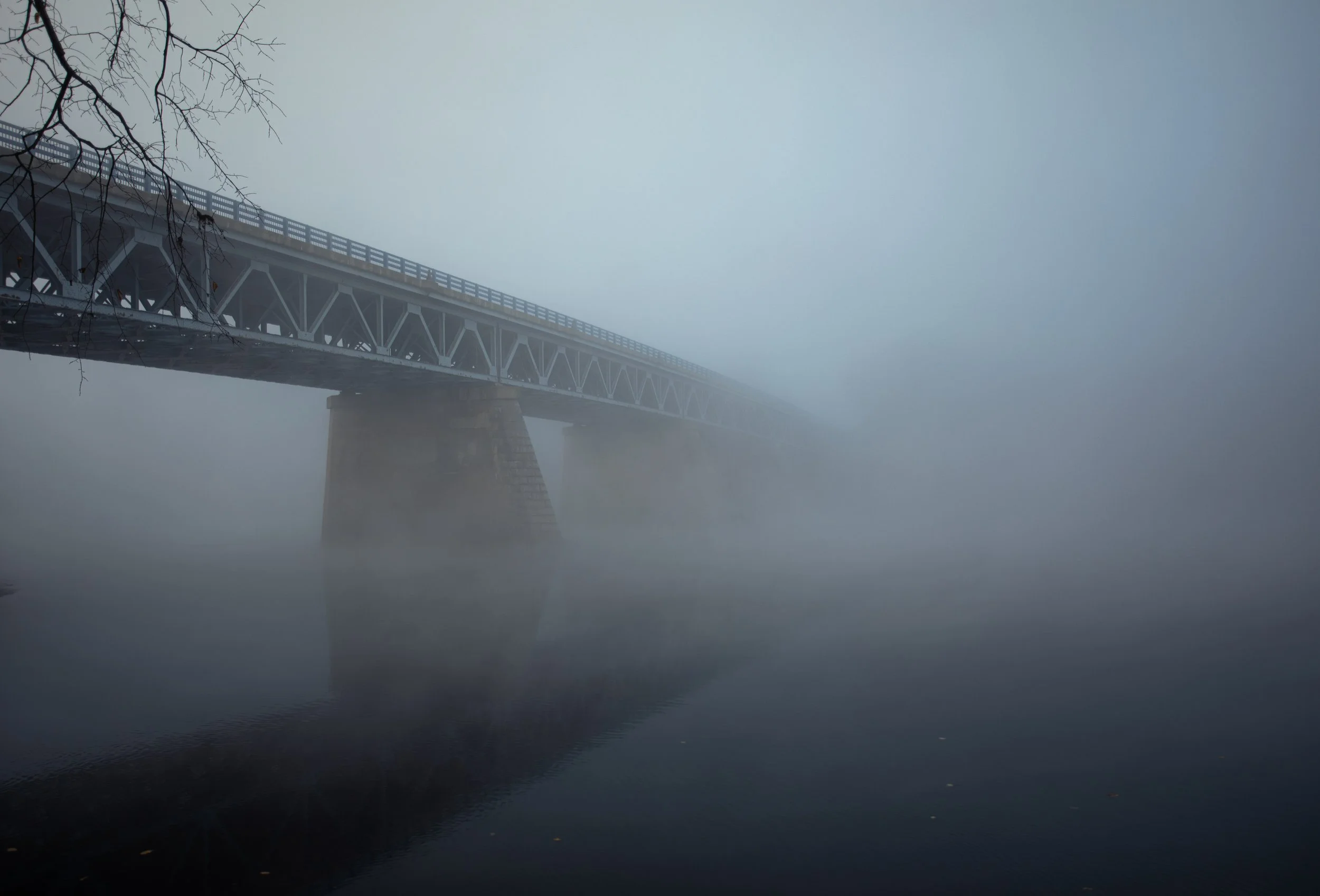A foggy scene of a bridge over a body of water, with the bridge's metal structure partially obscured by the fog and a tree branch visible in the top left corner.