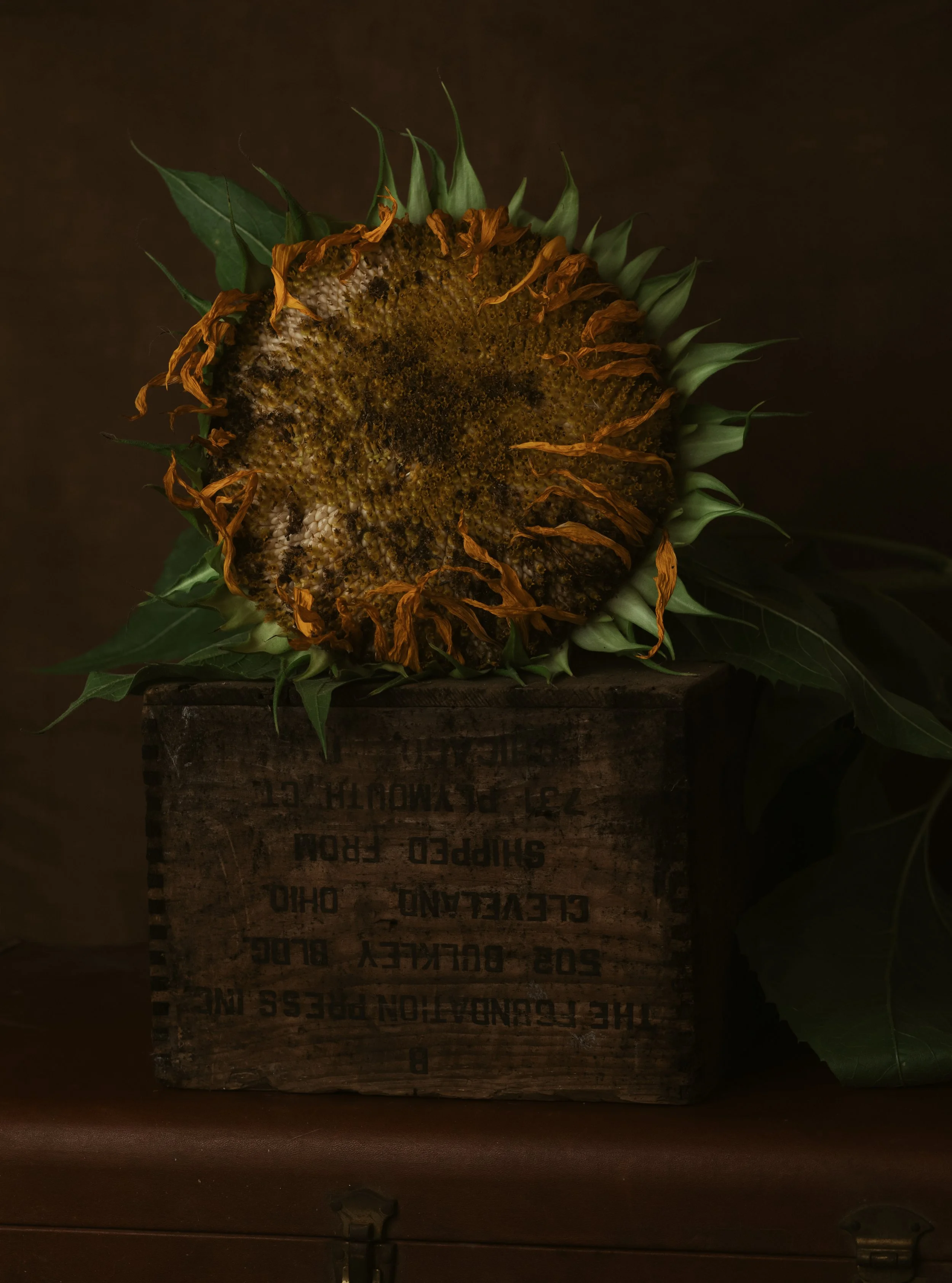still life image of sunflower on a vintage crate
