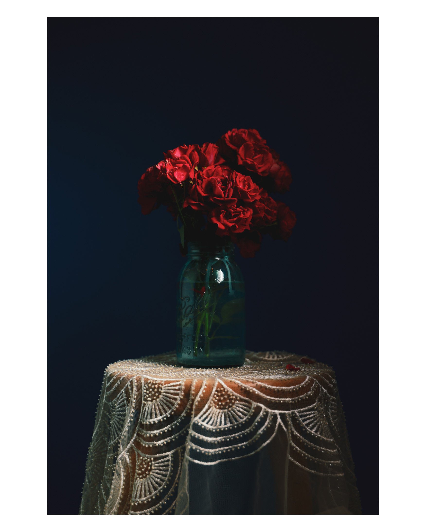 Climbing roses from the garden Rosemance in the studio.