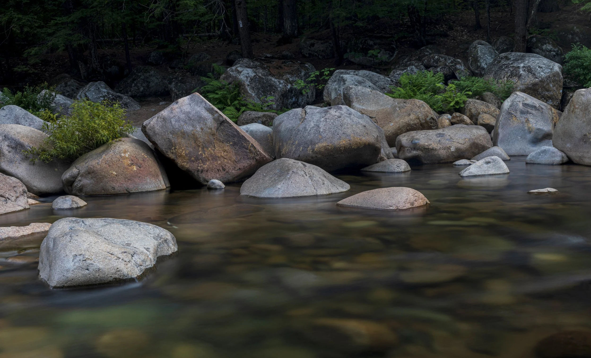 A shallow river with large, smooth rocks and greenery along the banks, surrounded by trees in a forested area.