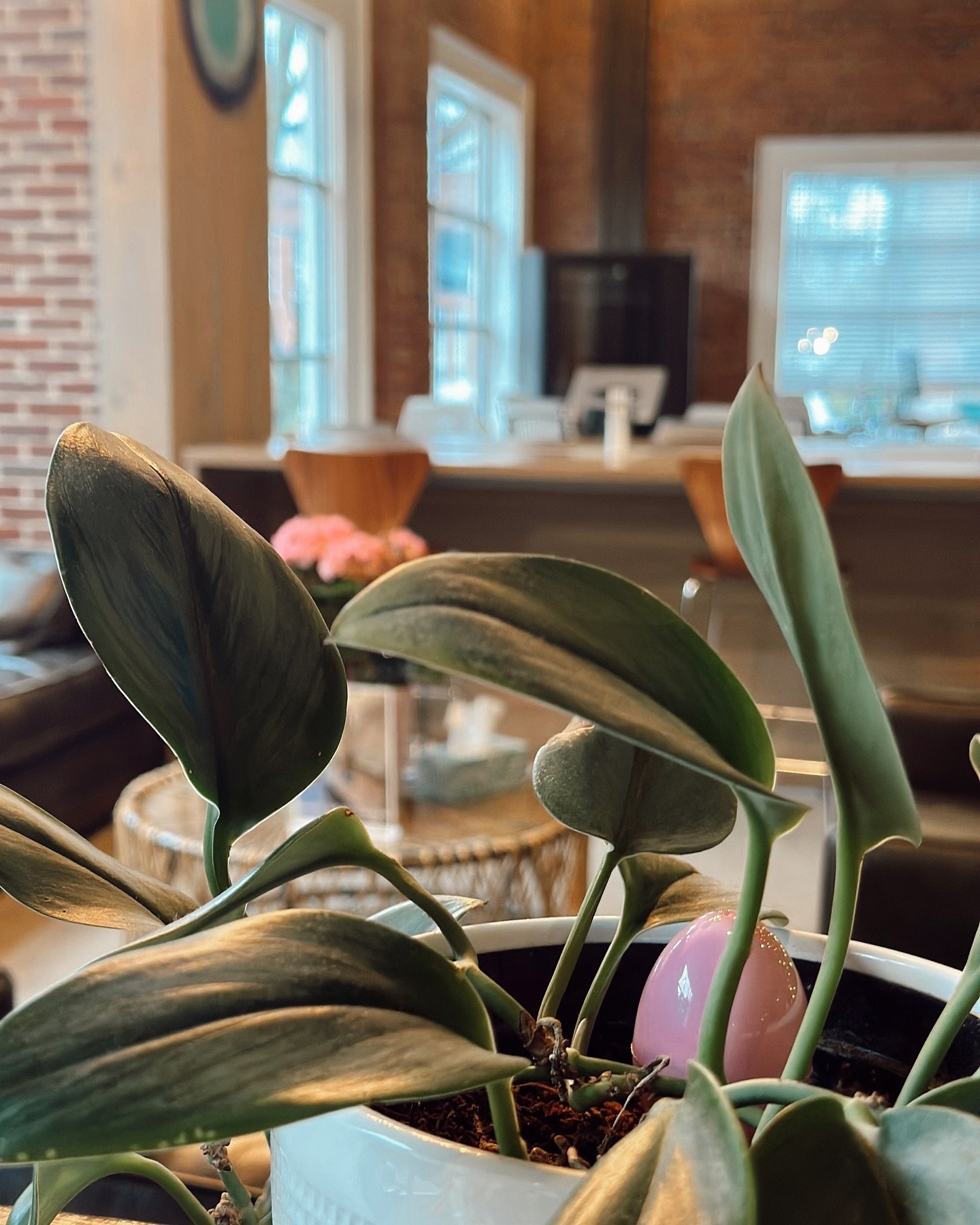 Combine work and play today with an Easter egg hunt at Cloudport! 🥚 Win free parking, day passes and meeting room credits! Claim your prize with River at the front desk. 🐰 

#happyeaster #cloudport #happyfriday #portlandme #coworking