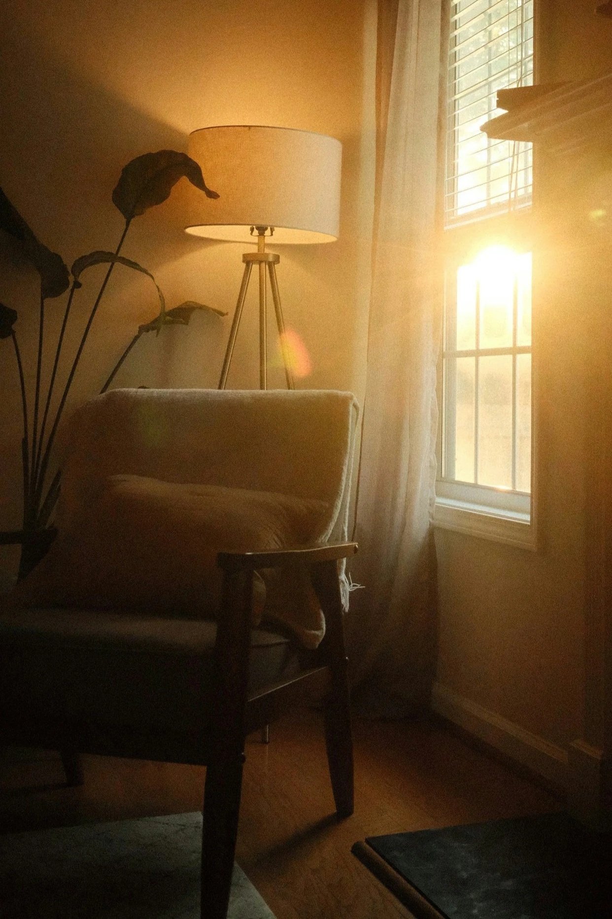 Sunlight streaming through a window illuminating a cozy corner with a beige armchair, a floor lamp, a potted plant, and sheer curtains.