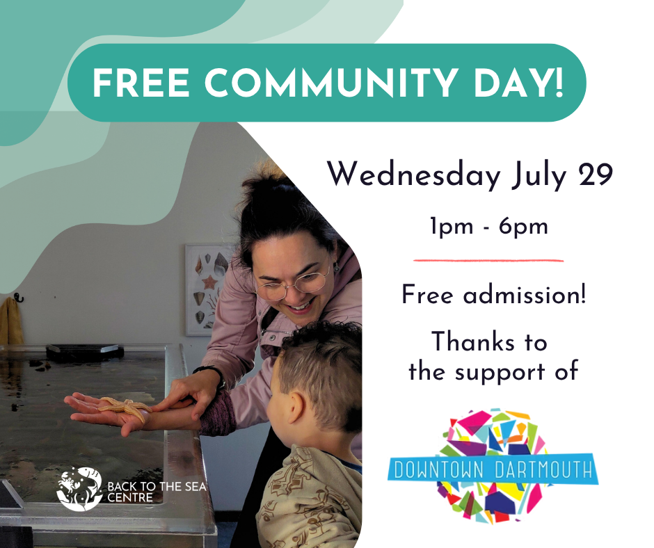 An image with Free Community Day and a child with an adult showing them a seastar in their hand open flat.
