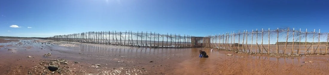 A Visit to the Porter Weir