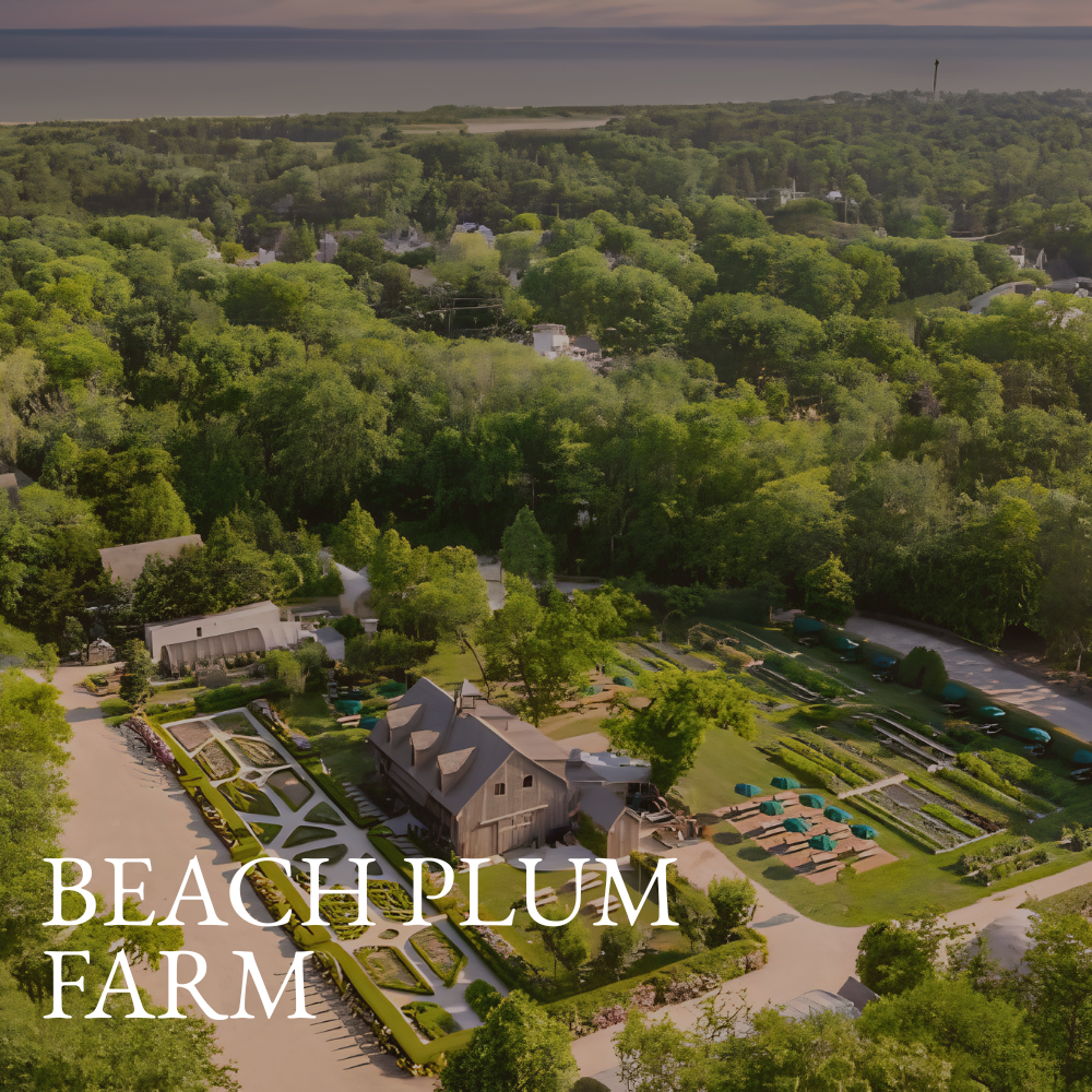 Beach Plum Farm Cottages Cape May