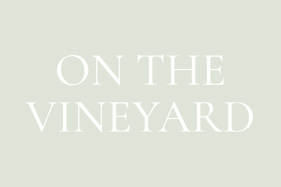Text on a light green background reads 'On the Vineyard' in white font.