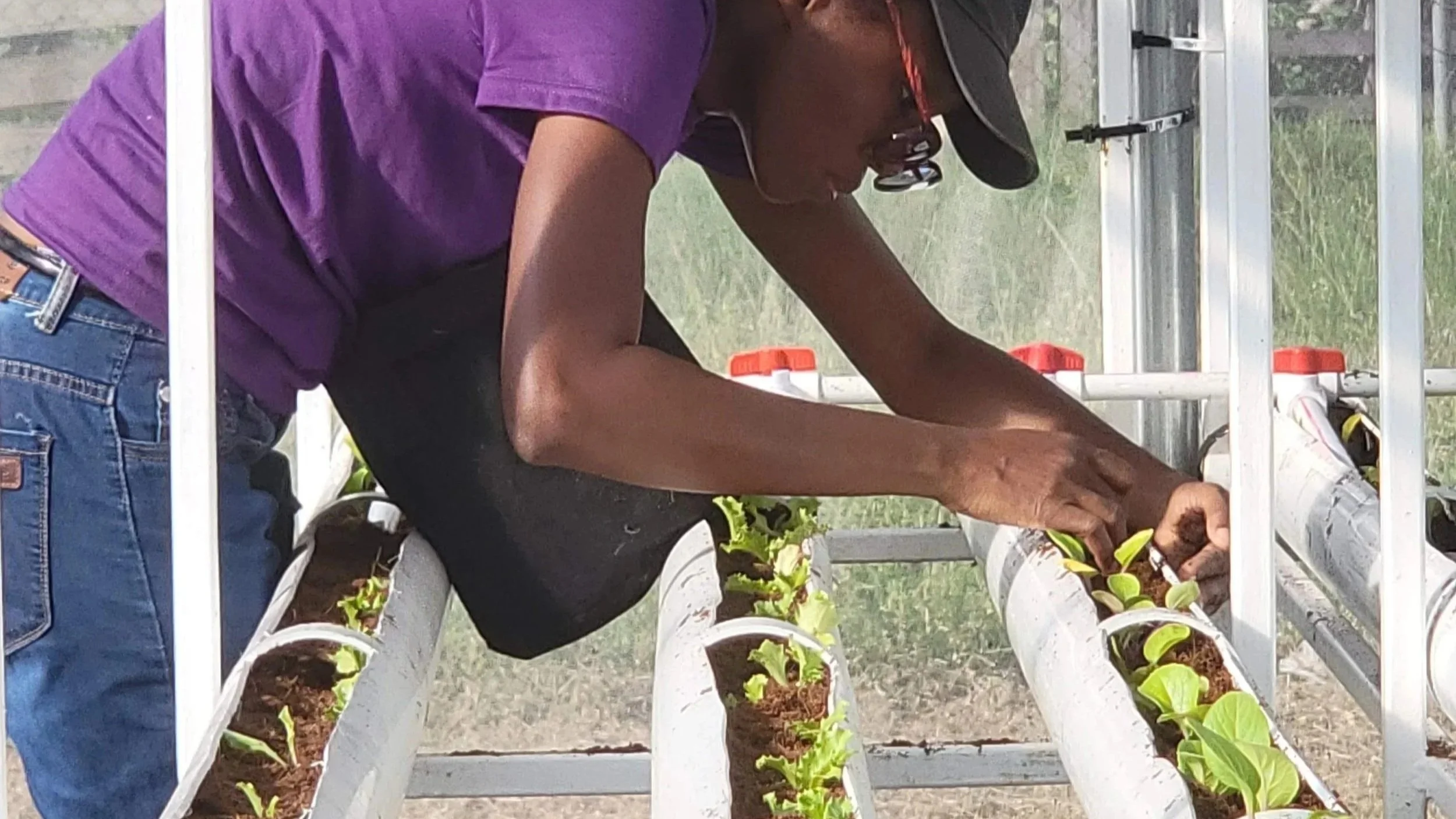 The Caribbean Farmer's Guide to Navigating El Niño 2026-2027