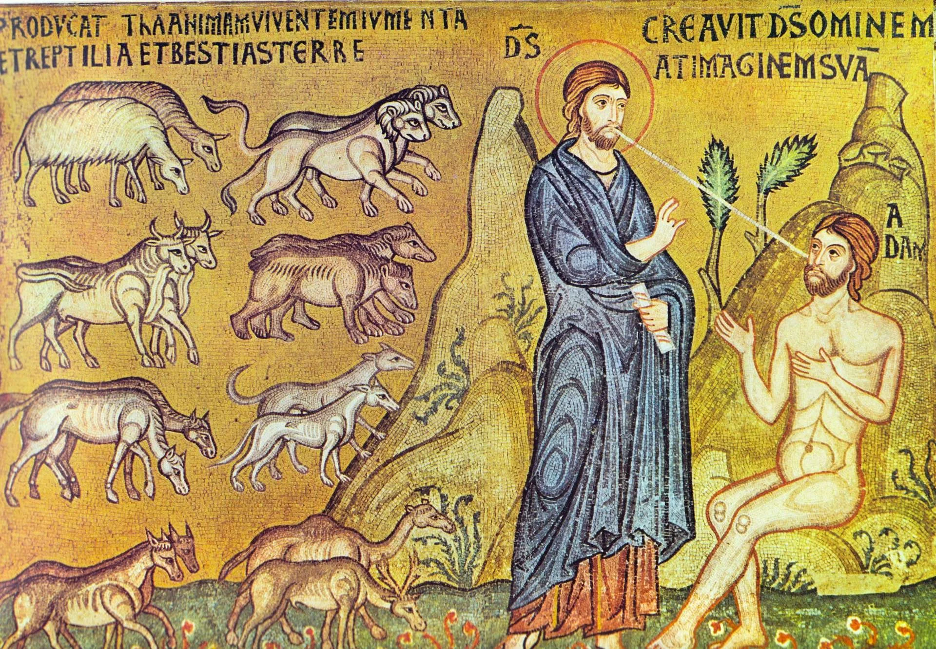 What Is Grace in the Orthodox Tradition?
