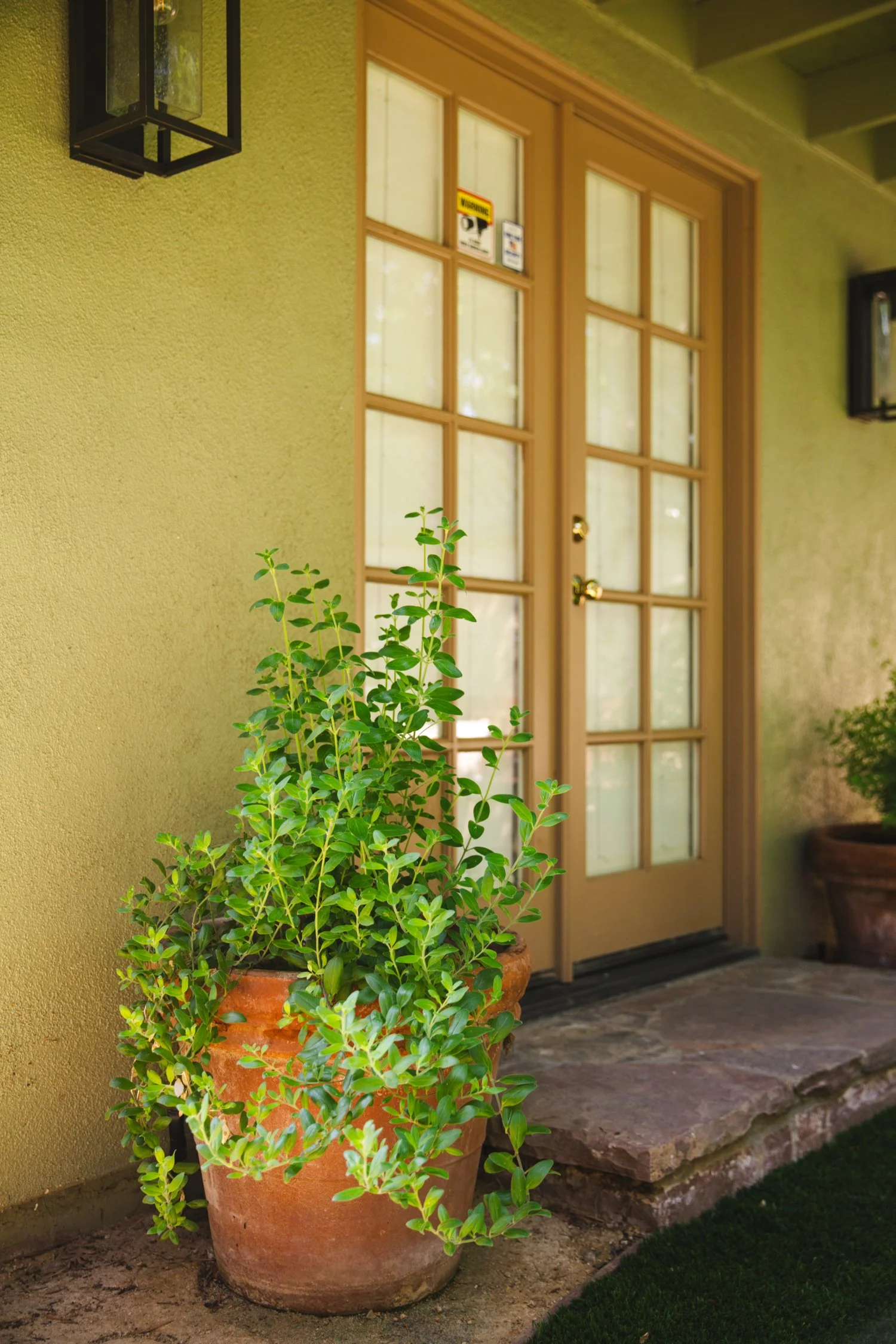 250430_706_E-Oak_417.jpg