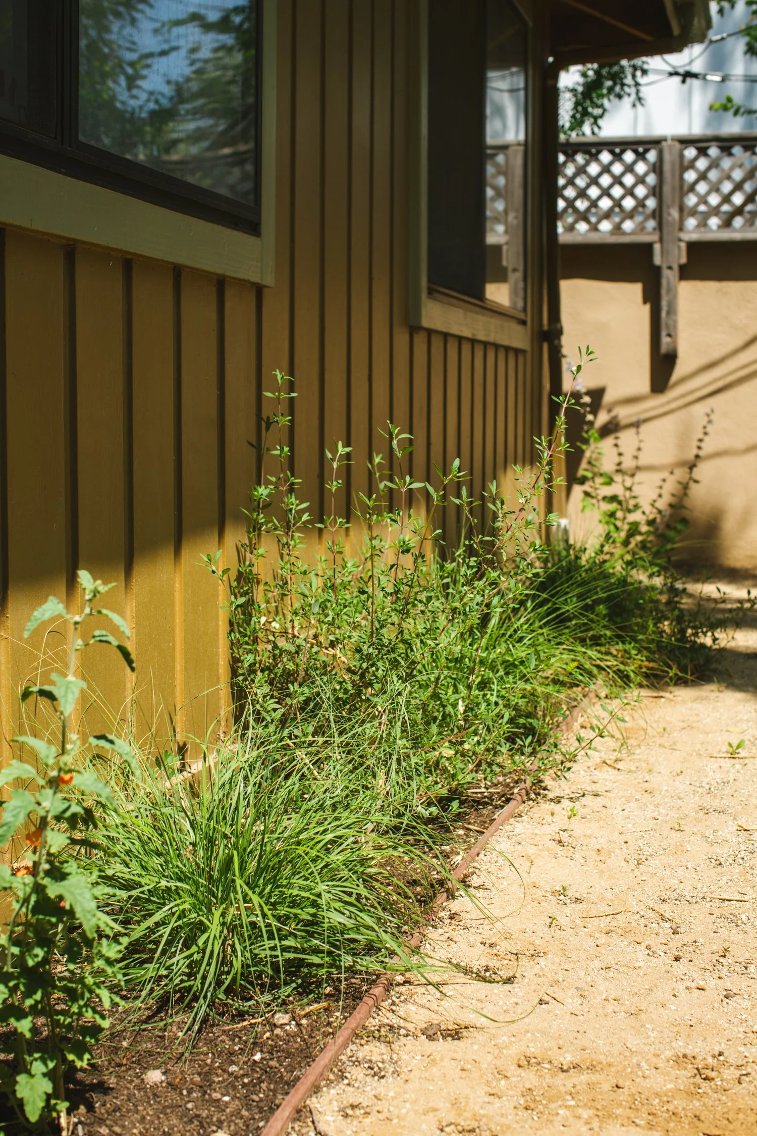 250430_706_E-Oak_056.jpg