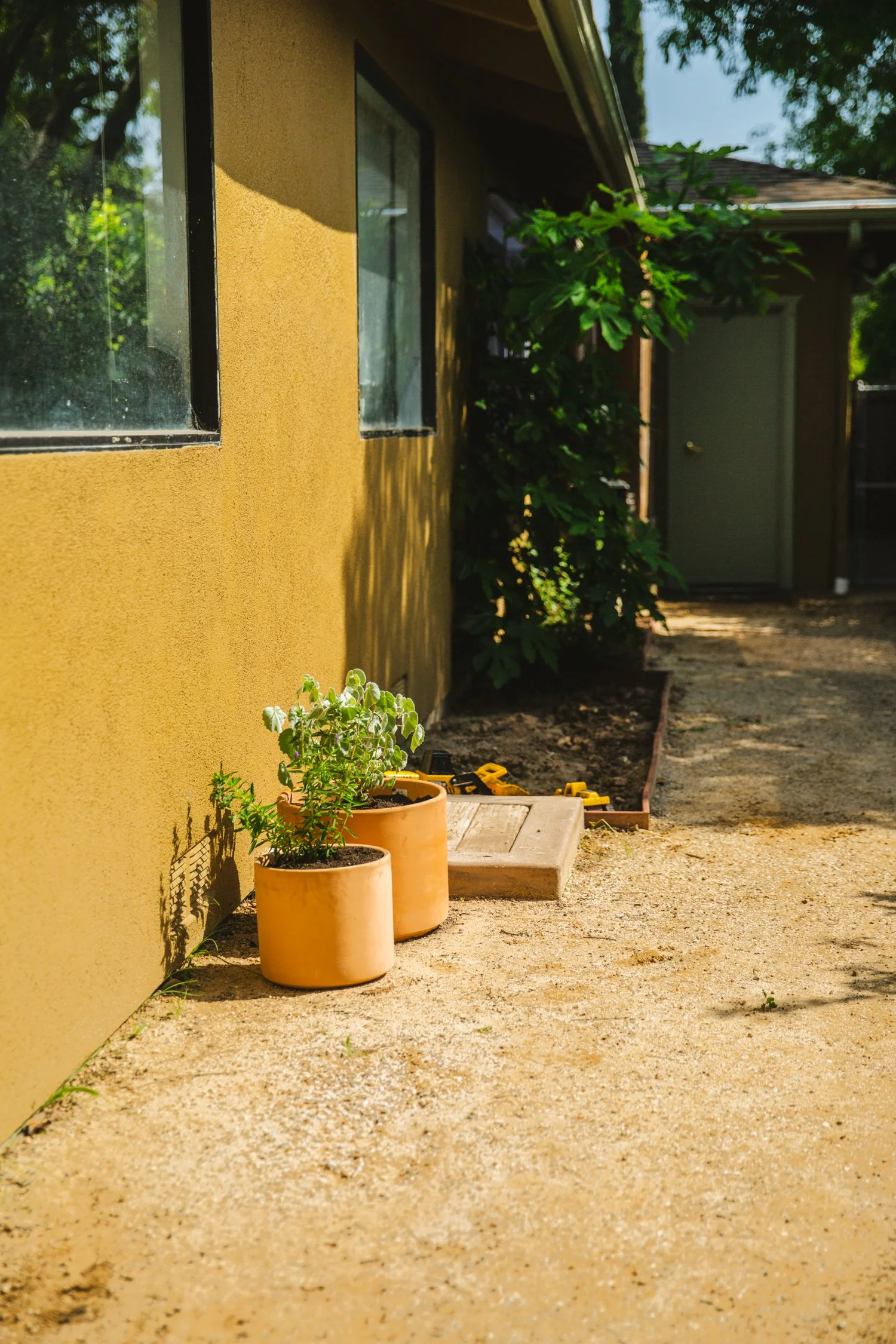 250430_706_E-Oak_833.jpg