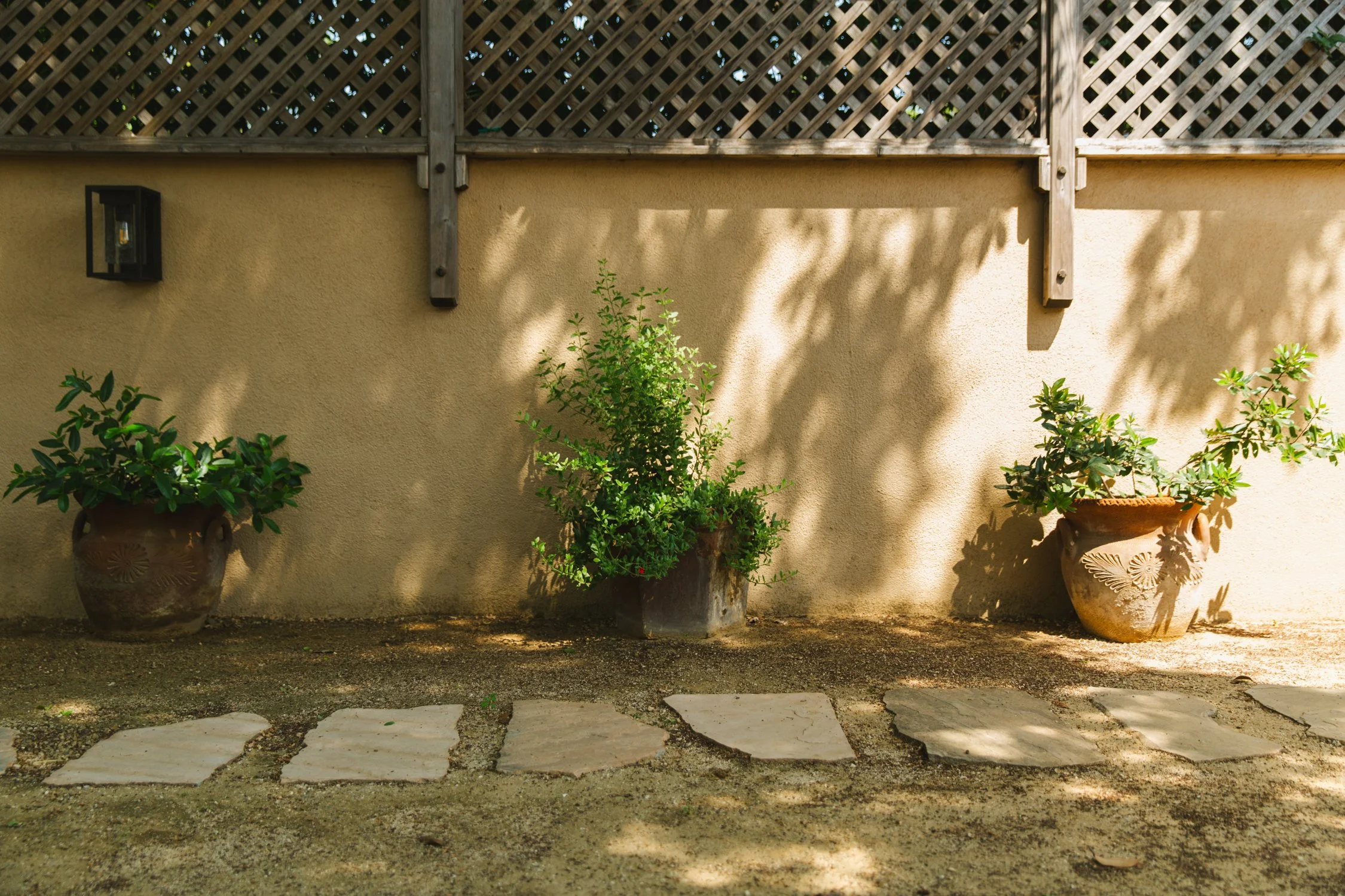 250430_706_E-Oak_159.jpg