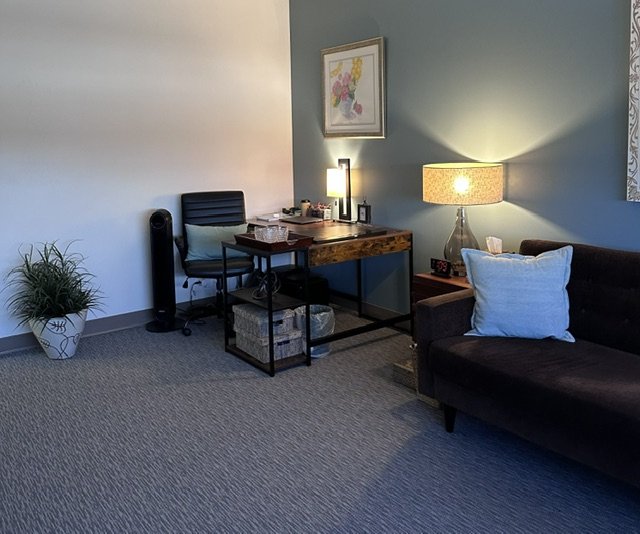 A cozy room corner with a black sofa, a white pillow, a side table with a lamp, a desk with a chair, a framed floral picture, a potted plant, and a carpeted floor.