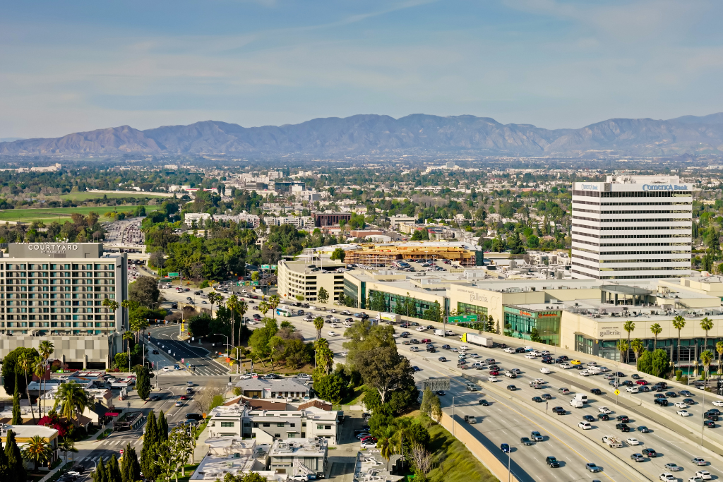 Elevating Mission Valley's Streetscape with Custom Curb Painting