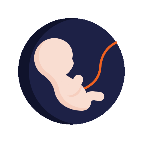 wired-flat-1270-fetus.gif