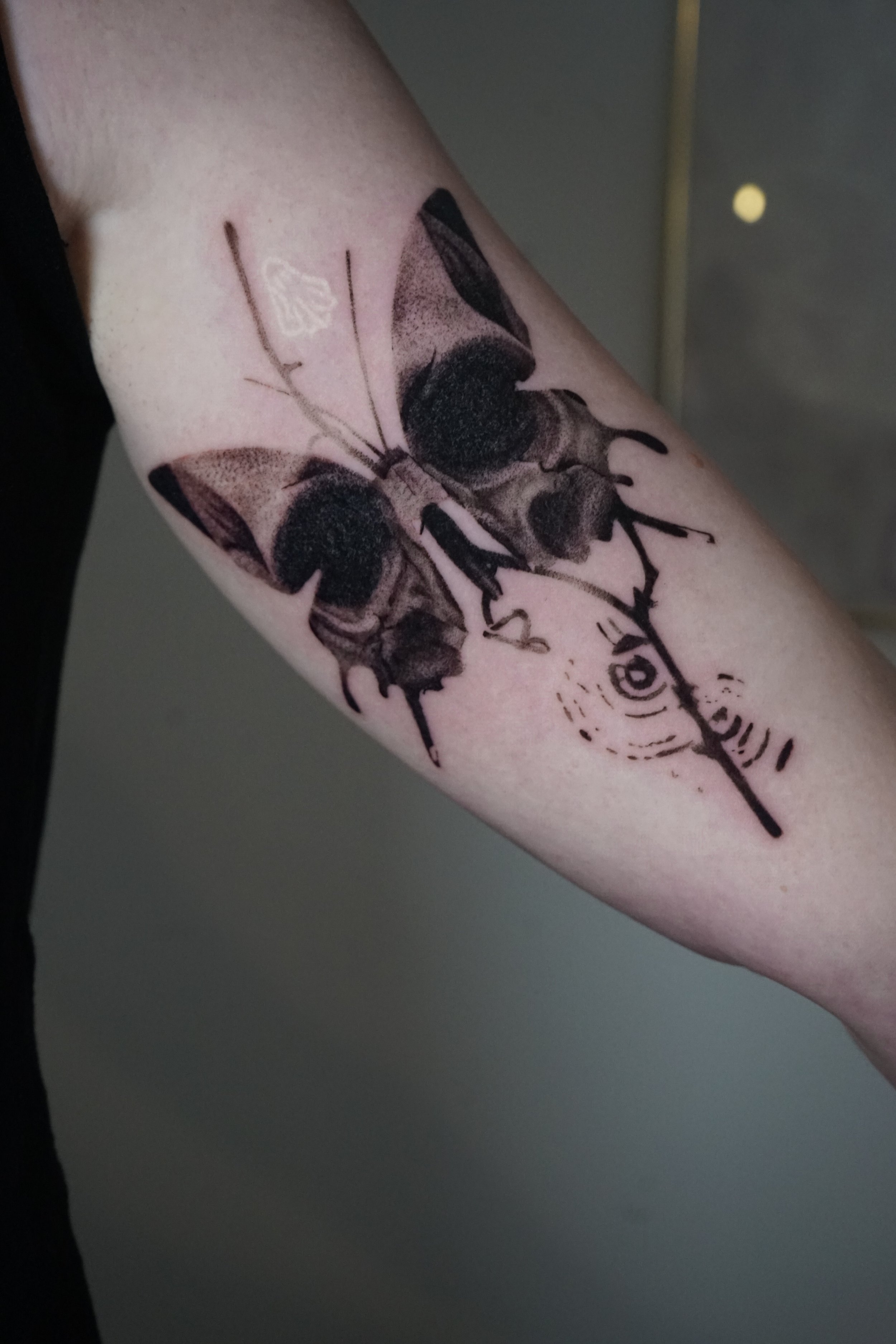 DSC02825 (1).JPG