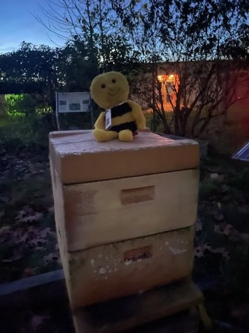 Ein Smiley-Kuscheltier auf einem Bienenstock im Freien bei Dämmerung, umgeben von Büschen und Bäumen.